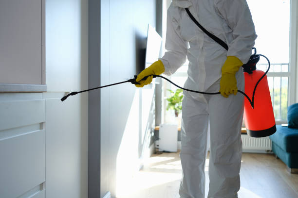 Best Certified Mold Removal  in West End Cobb Town, AL