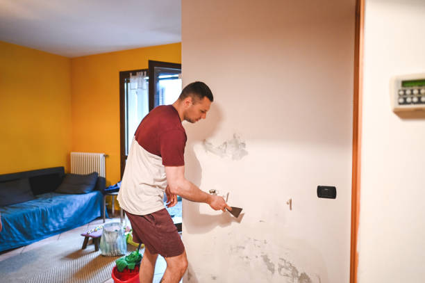 Best Best Mold Removal Companies  in West End Cobb Town, AL