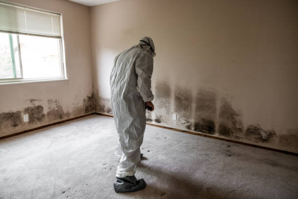 Best Residential Mold Removal  in West End Cobb Town, AL